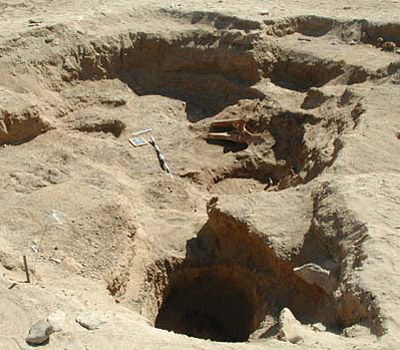 Overview of elephant burial site