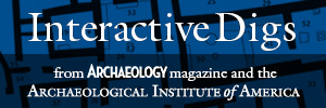 Interactive Digs