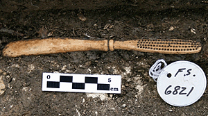 Bone toothbrush recovered from the latrine