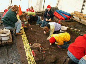 Fifth grade students participating in excavation